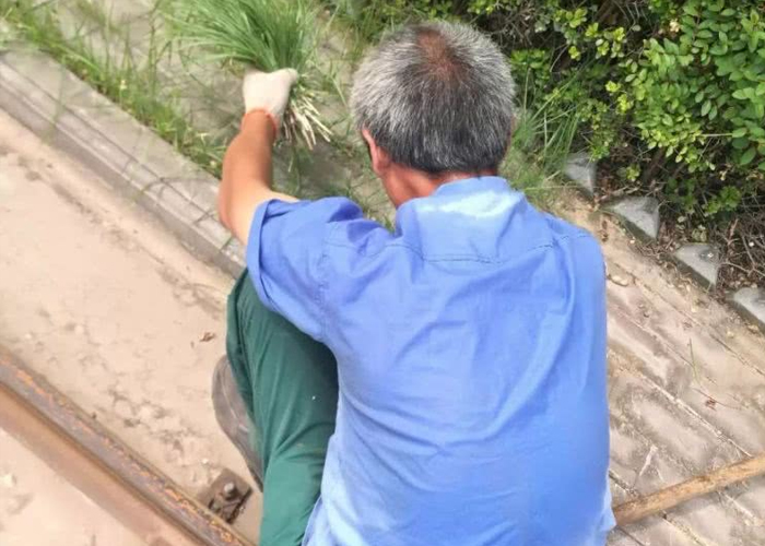 烈日下的擔當、高溫下的堅持 烈日下的擔當、高溫下的堅持